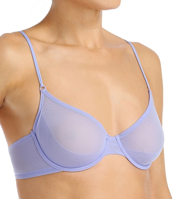 See Through Bra Pictures